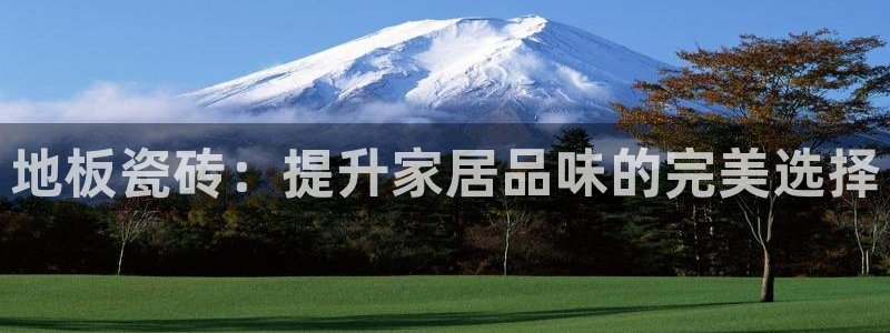 杏鑫平台登陆