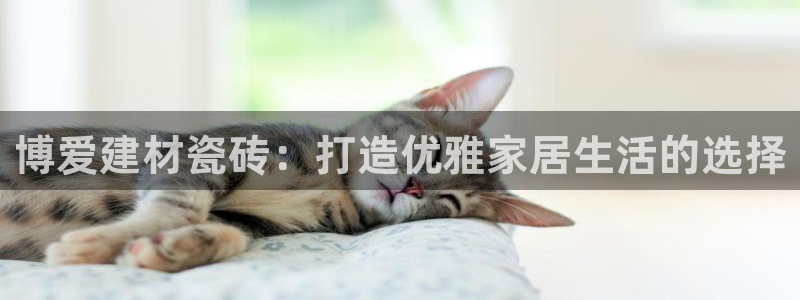 杏鑫平台代理怎么样可靠吗