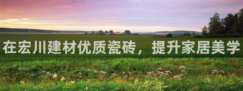 杏鑫平台怎么样