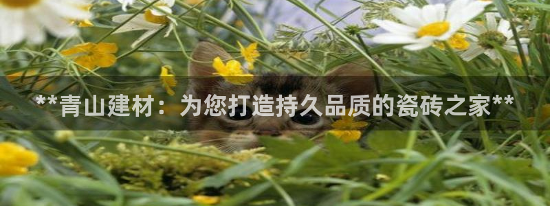杏鑫娱乐是真的吗还是假的