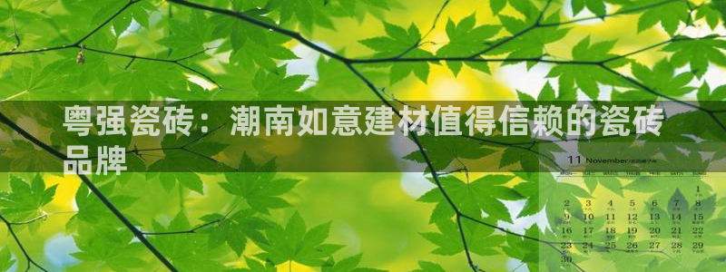 杏鑫平台平台