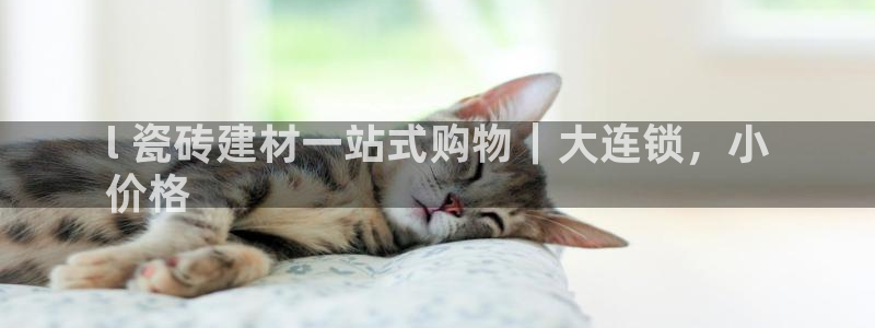 杏鑫平台招商怎么样啊