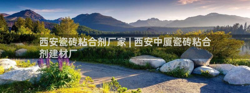杏鑫平台代理怎么做赚钱
