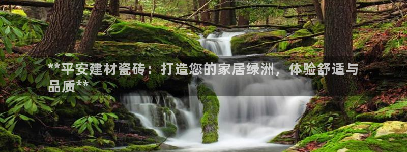 杏鑫平台代理怎么做