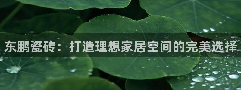 杏鑫娱乐-官方网站