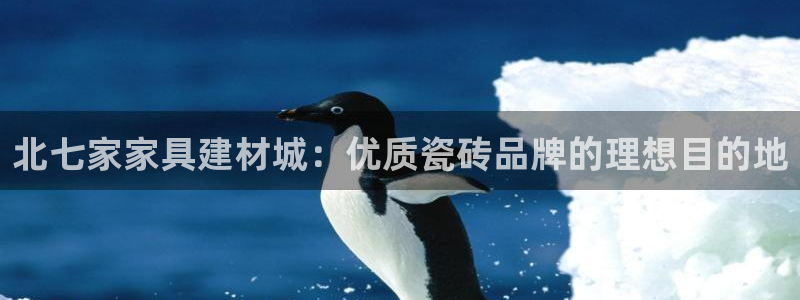 杏鑫官网最新信息新闻报道