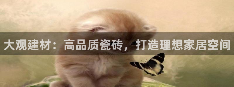 杏鑫平台招商怎么样