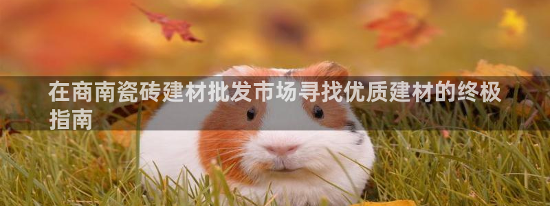 杏鑫平台野马联盟