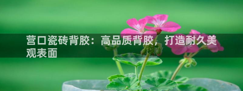 杏鑫平台下载安装