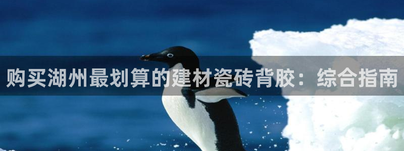 杏鑫有亏损返点吗