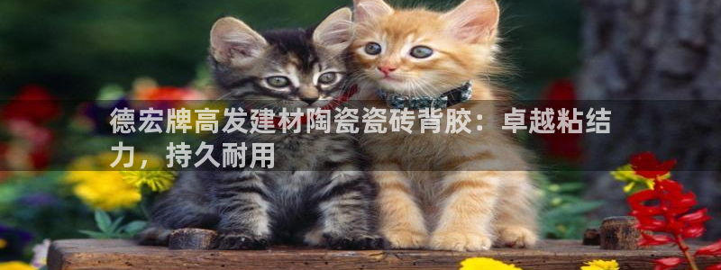 杏鑫平台待遇