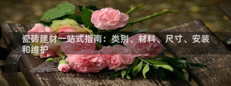 杏鑫有亏损返点吗