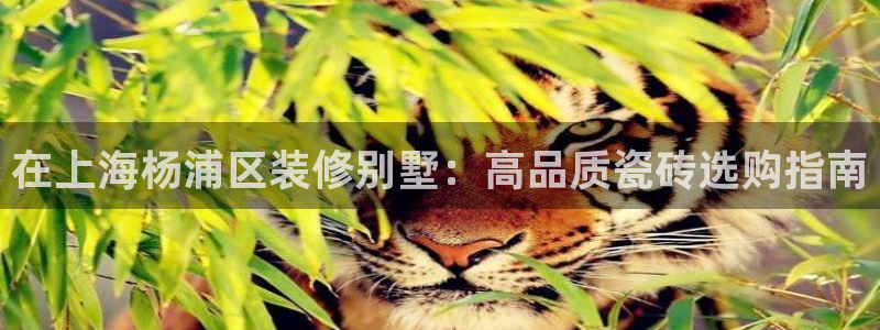 杏鑫平台代理怎么做