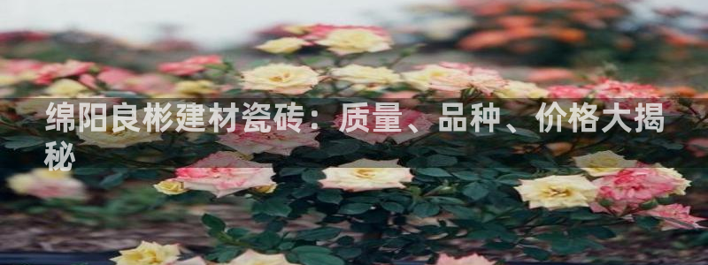 杏鑫官方平台怎么样啊可靠吗