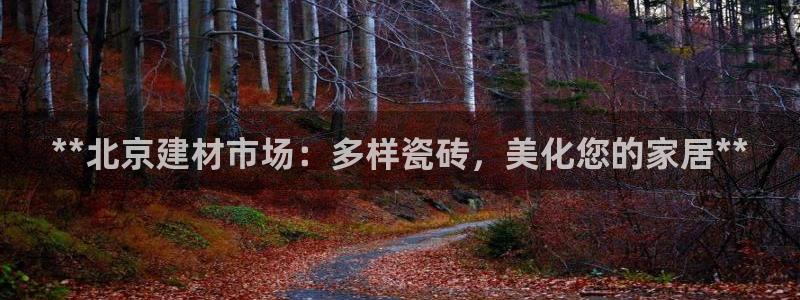 杏鑫平台线路测速