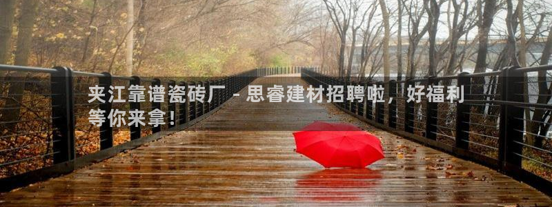 杏鑫官网最新信息新闻报道