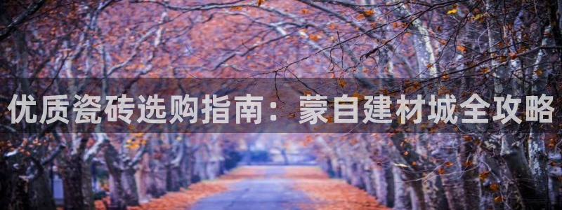 杏鑫平台招商怎么样啊