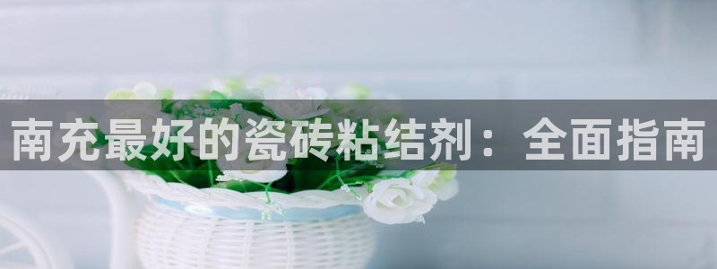 杏鑫平台代理怎么样可靠吗