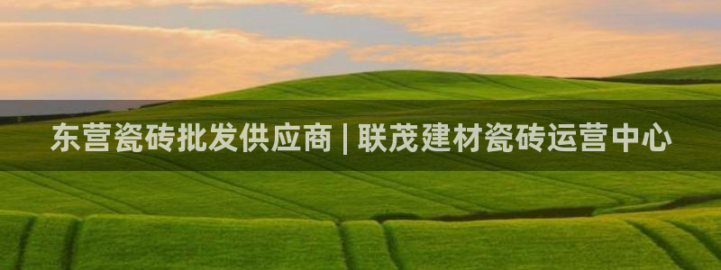 杏鑫官方平台怎么样啊