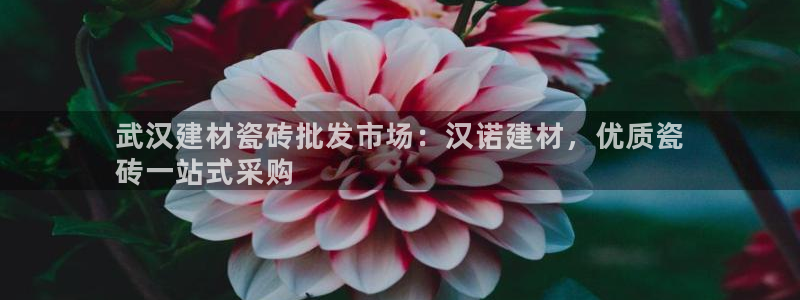 杏鑫娱乐是合法的吗?