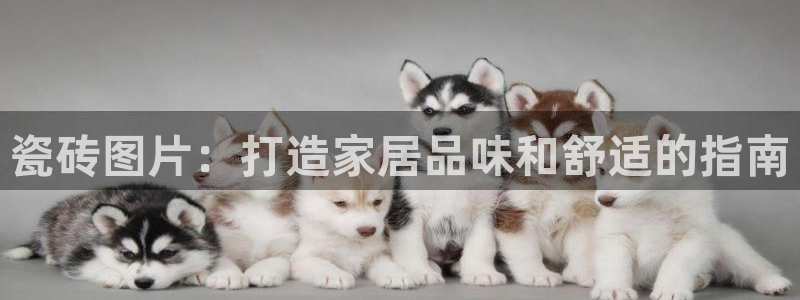 杏鑫平台平台娱乐