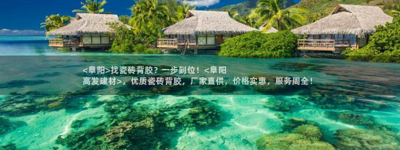 杏鑫平台平台娱乐