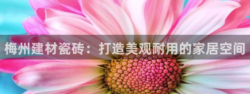 杏鑫平台代理怎么做