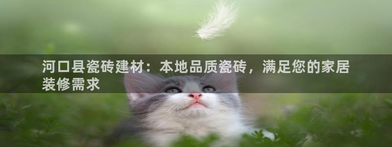 杏鑫平台代理怎么样啊