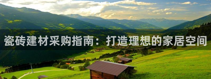 杏鑫官网最新信息新闻