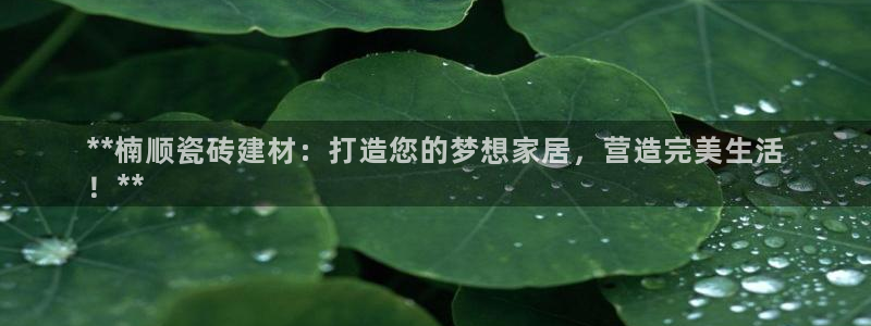 杏鑫平台代理怎么样可靠吗
