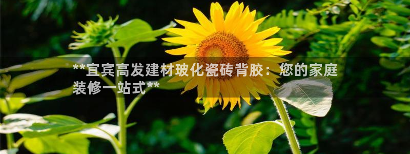 杏鑫娱乐平台