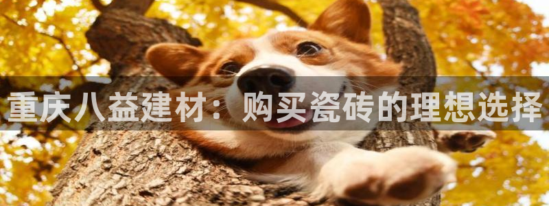 杏鑫平台怎么样黑钱吗是真的吗吗