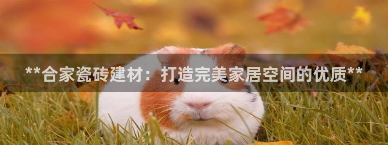 杏鑫官方app代理