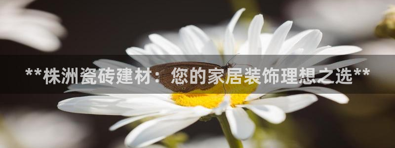 杏鑫平台正规吗