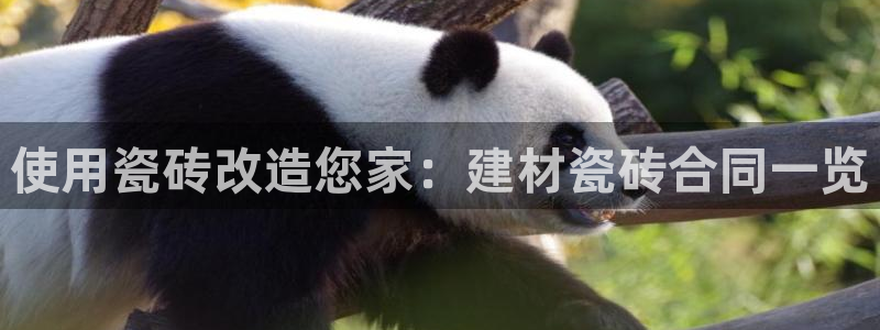 杏鑫官方平台怎么样啊知乎
