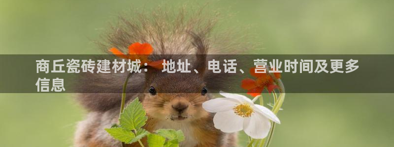 杏鑫官网