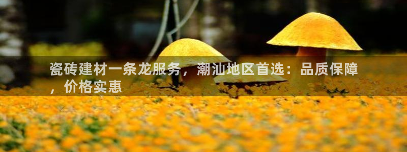 杏鑫娱乐多少年了