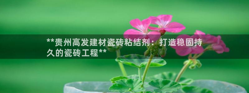 杏鑫平台代理怎么样啊