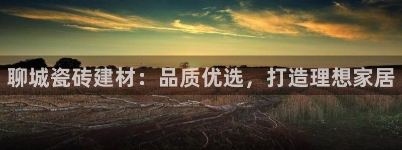 杏鑫官方平台怎么样