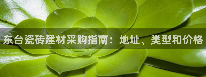 杏鑫主管
