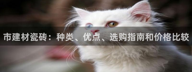 杏鑫平台下载安装