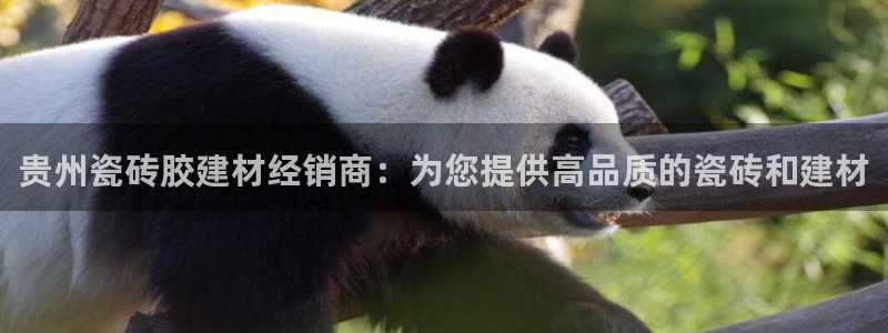 杏鑫平台招商电话号码