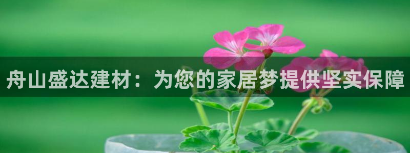 杏鑫娱乐开发团队