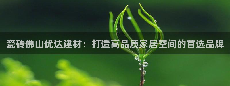 杏鑫娱乐开发团队