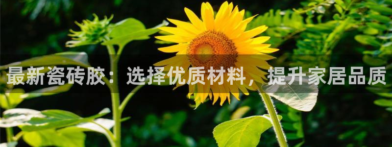 杏鑫平台怎么样黑钱吗知乎推荐