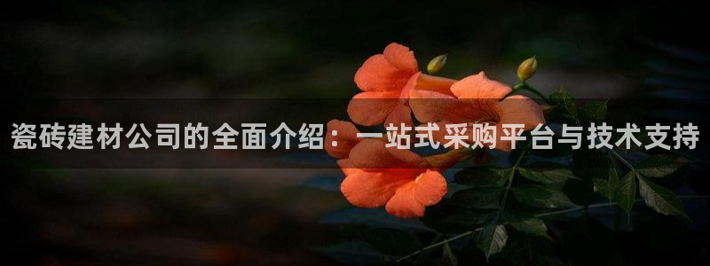 杏鑫平台注册入口在哪里找