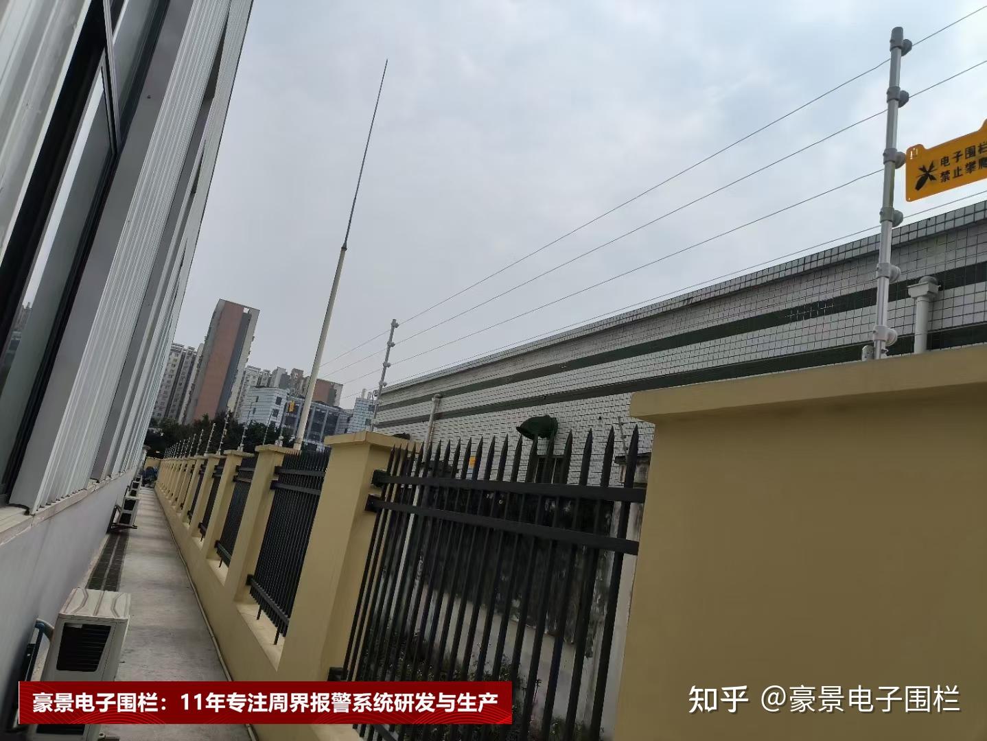 杭州羽毛球队技术革新引发热议助力运动员全面提升竞技水平