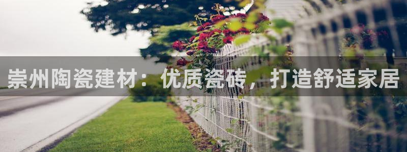 杏鑫官网注册账号是什么样的