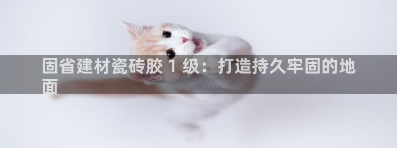 杏鑫平台代理注册要钱吗