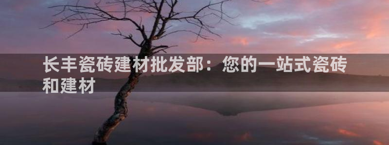 杏鑫平台代理注册登录不了怎么办呀视频